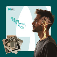 Походження по чоловічій лінії