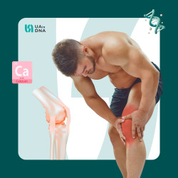 Генетика міцності кісток