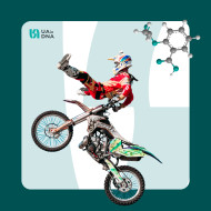 Генетична схильність до ризику та новизни