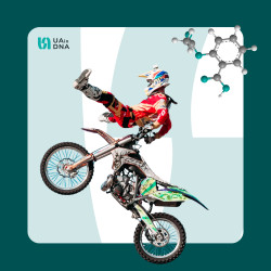 Генетична схильність до ризику та новизни