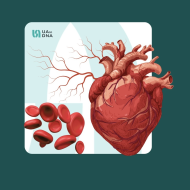 Серцево-судинна панель (CVD)