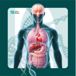 Повний генетичний чекап організму