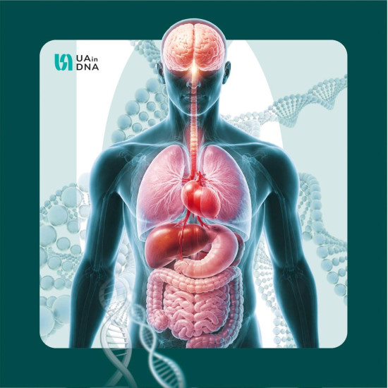 Повний генетичний чекап організму